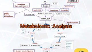 metabolomic-analysis