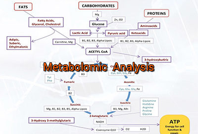 metabolomic-analysis